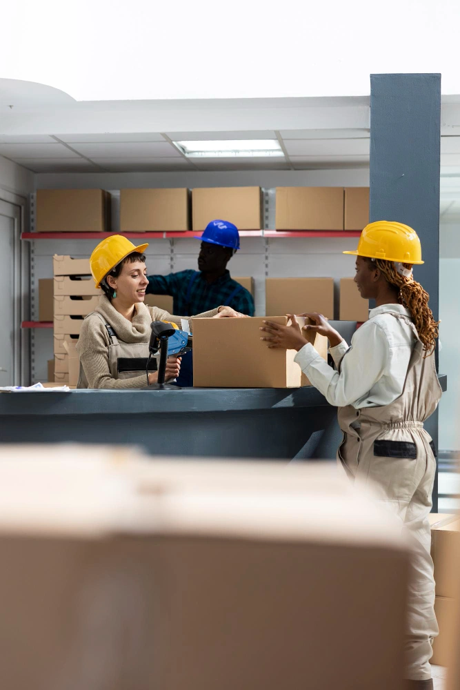 Benefits of Professional Customs Clearance